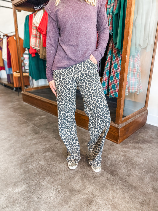 Vervet Hi Rise Leopard Jeans